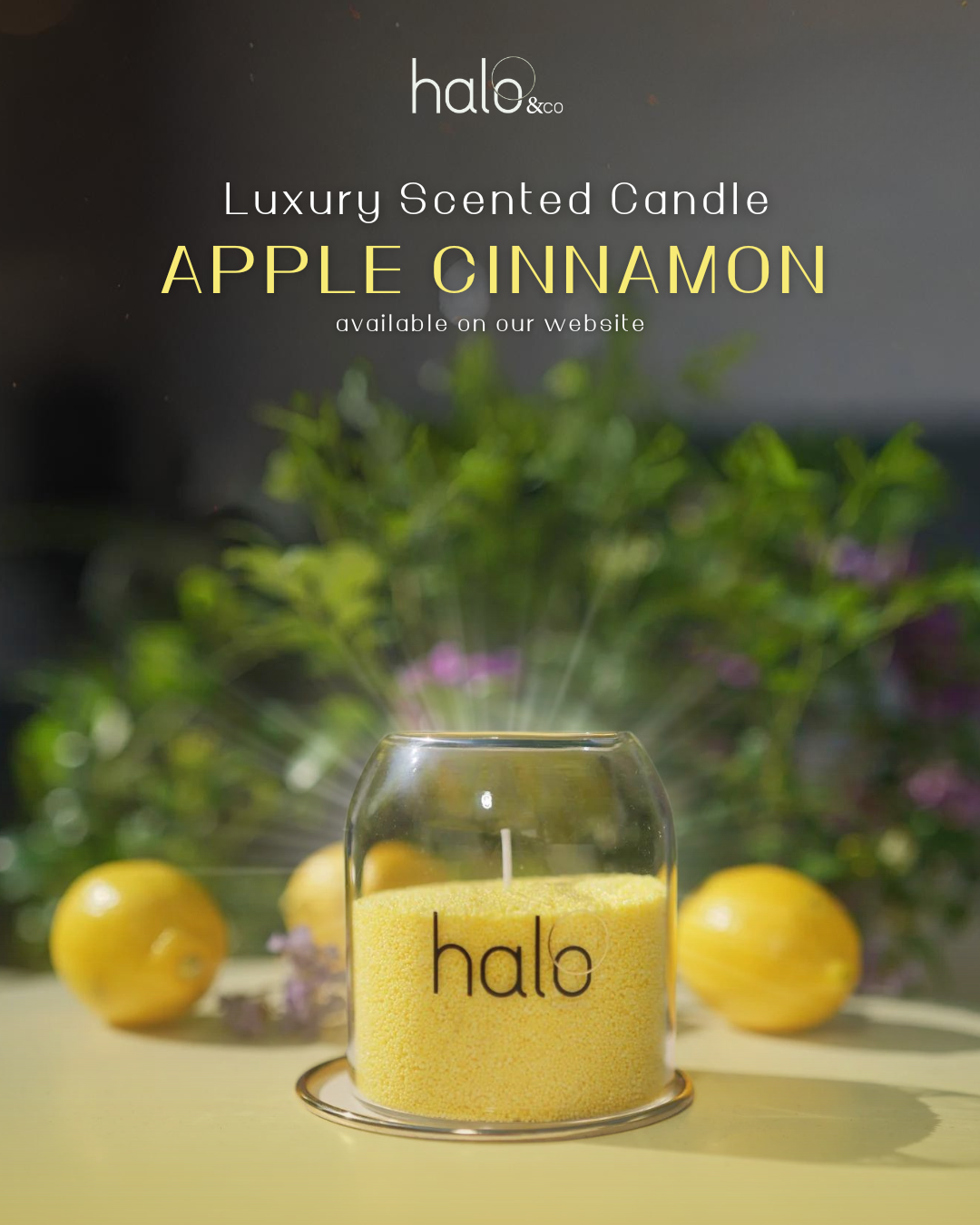 Halo Essentials Luxury Scented Candle - Apple Cinnamon