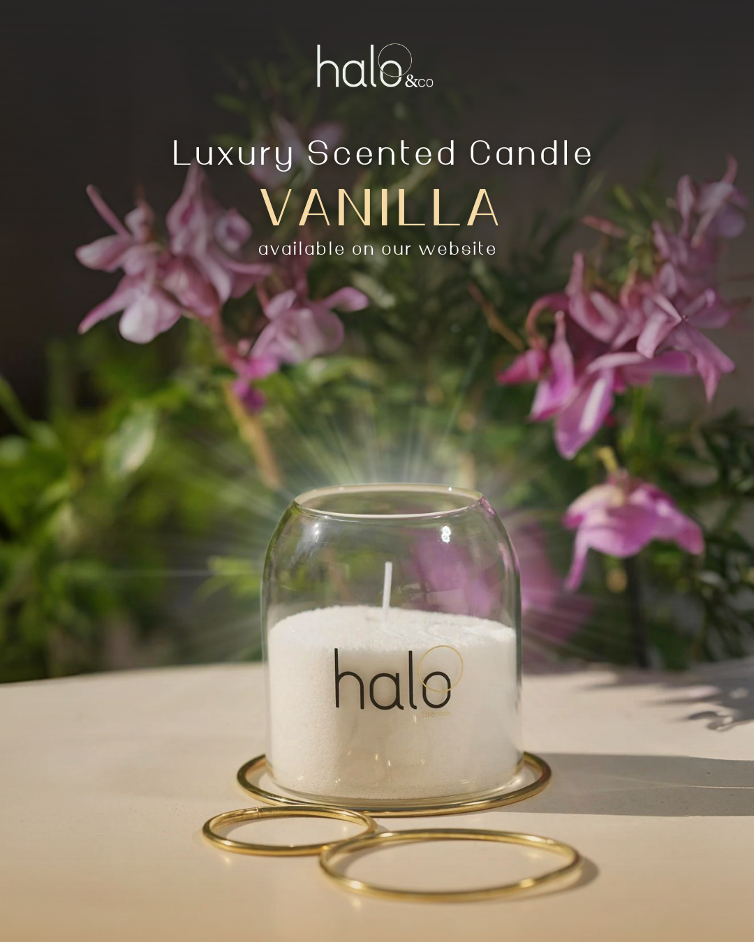 Halo Essentials Sand Wax: Vanilla